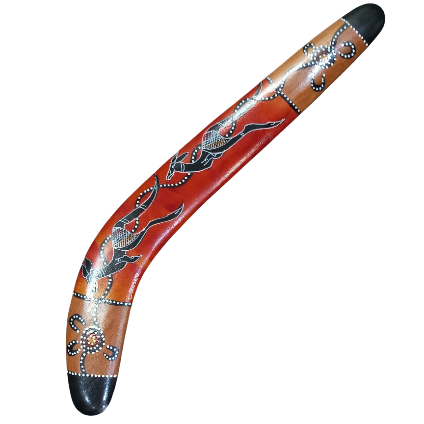 Killer Boomerang hand painted