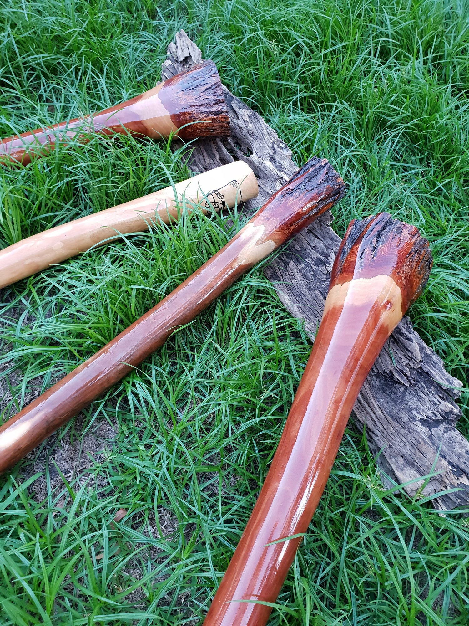 Didgeridoo’s