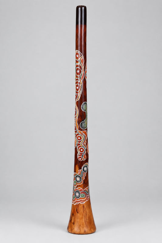 didgeridoo Woolybutt fron the Northern Territiory Paint by Leonie Roser