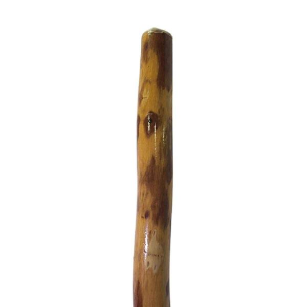 Authentic ironbark 120 cm didgeridoo 39